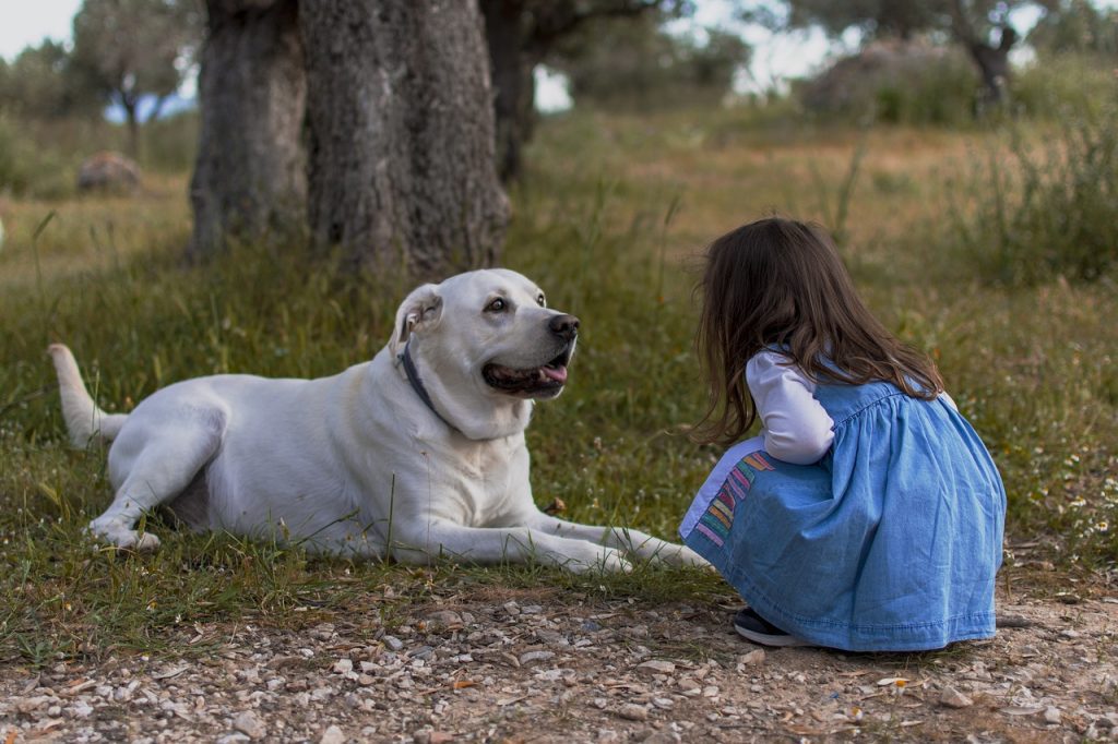 School Kids and Dogs