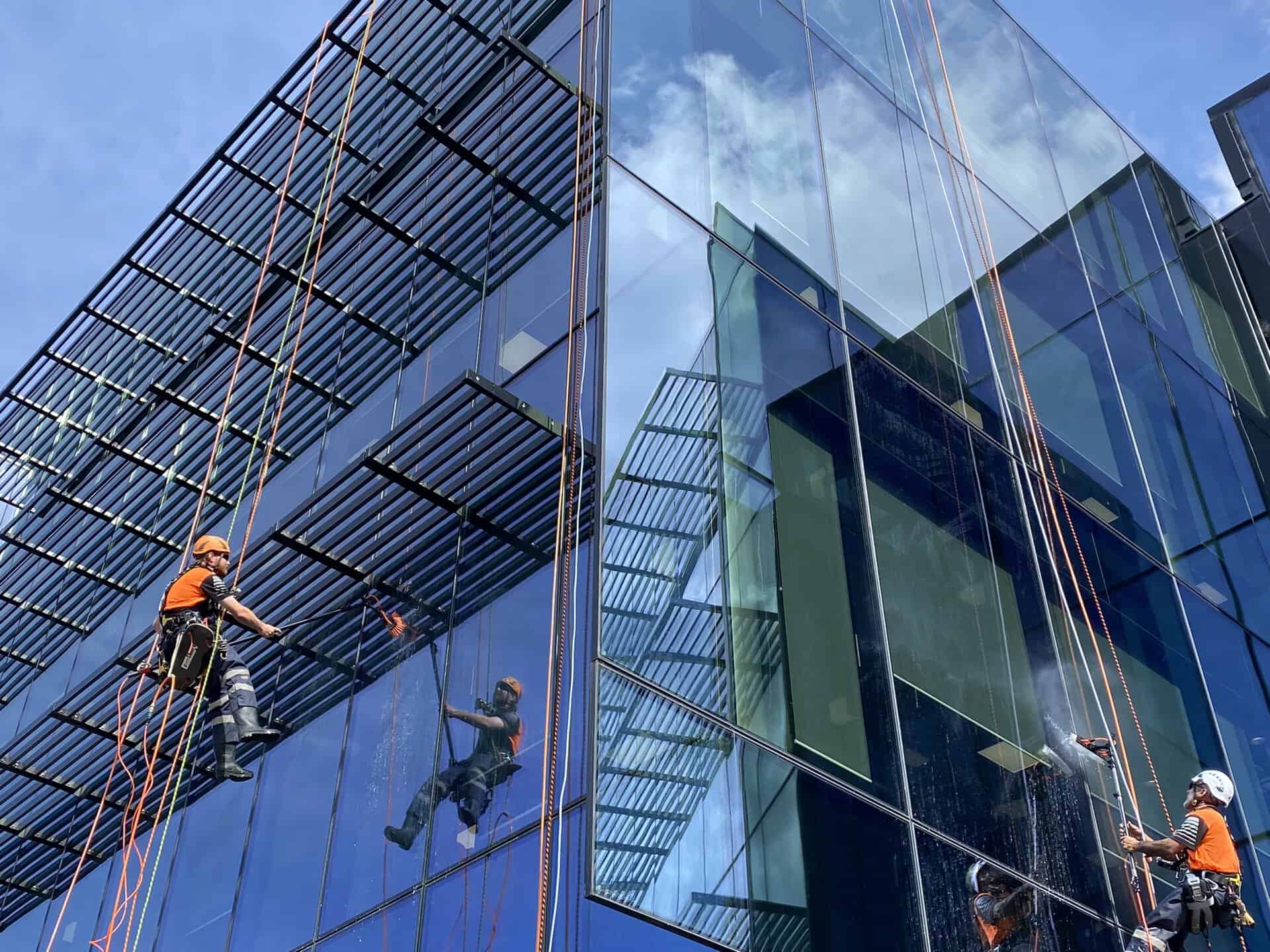 Glass cleaners abseiling from a building using rope access.